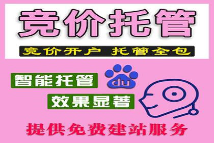 行业领先企业的SEM运营推广实战